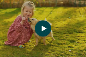 Pet Friendly Compound with Apartments for rent in Riyadh